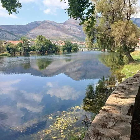 Vasilije 아파트 트레빈예