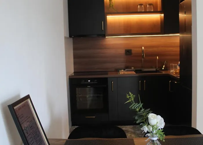 Apartment Vasilije *